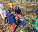IMG_20240326_104341